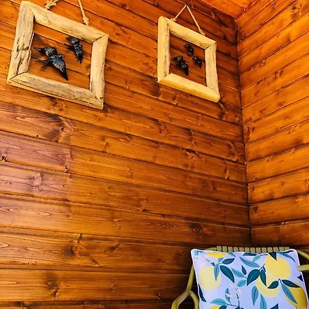 Varzea Nature 게스트하우스