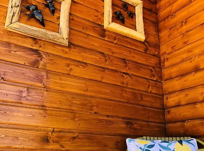 Varzea Nature Guest house